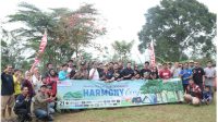 harmony cup