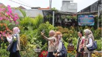 fam trip rabel 9